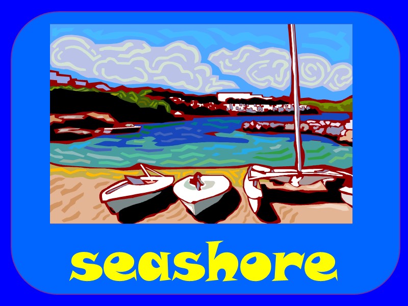 seashore